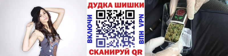 где купить Александровское Шишки марихуана SATIVA & INDICA